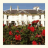 Rathmullan House Hotel photo