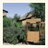 Arava Paradise