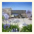 Beit Yehudah