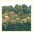 Tarika's Jungal Retreat photo