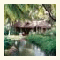 Kairali Ayurvedic Health Resort photo