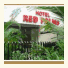 Hotel Red Palms photo