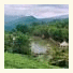 Saj Vagamon Hideout