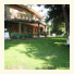 Villa delle Palme photo
