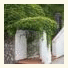 Villa Larissa Amalfi Coast photo