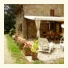B&B Casale Il Tiglio