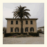 Villa Alma Pace photo
