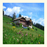 Berggasthaus Restaurant Moserhof photo