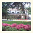 Hotel Pineta photo