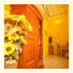 Aldebaran B&B photo