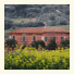 Agriturismo Colle San Mauro