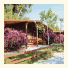 Camping 5 Stelle Villaggio