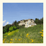 Hotel Alpenflora photo