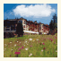 Hotel Steger-Dellai photo
