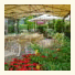 Albergo Ristorante Pizzeria Giardino photo