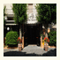 Hotel Bisanzio