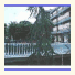 Chianciano Albergo Trieste photo