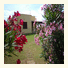 Blu Vacanze Residence photo