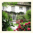 Albergo Villa Azalee photo