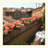 Hotel Hermitage photo