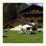Charmant Petit Hotel photo