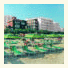 Giovanna Regina Hotel photo