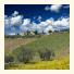 Borgo Casa al Vento photo