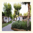 Campiente Mobile Homes Grado photo