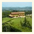 Agriturismo La Ca' D' Olga photo