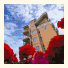 Villa Margherita photo