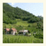 Garni Winklerhof photo
