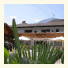 Schlosshof Resort photo