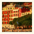 Hotel Shelley e delle Palme photo