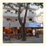 Albergo Ridente