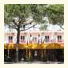 Hotel Canova photo
