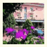 Hotel Villa Veneta photo