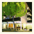 Hotel Elvia photo