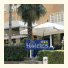 Hotel Eros photo