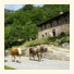 Agriturismo Le Fratte