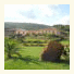 La Quercia della Gallura