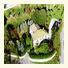 Villa Irene B&B photo