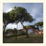 Residence Pineta photo