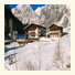 Hotel Malga Ciapela photo
