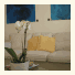 Bed And Breakfast Casazze Dream
