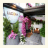 Hotel Luciana photo