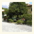 Hotel Roby photo