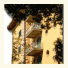 La Pigna photo