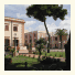 New Hotel Palace photo