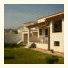 Case Vacanze L'Uliveto photo