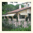 Green Garden Resort